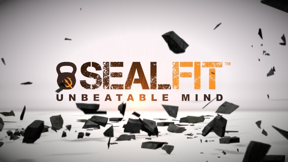 sealfit_logo